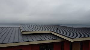 Best Sheet Metal Roofing  in Vienna, VA